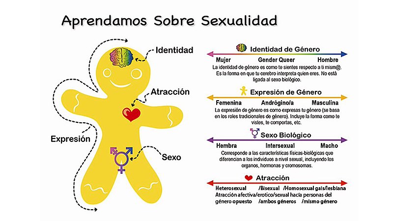 "Galleta de Jengibre de Género" o "Genderbread Person" 